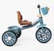 Велосипед 3-х колісний BS-74152/ BS-741-52 "Best Trike" 193683 фото 3